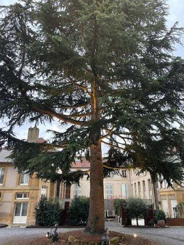 La Cour De La Tresorerie Metz Bagian luar foto